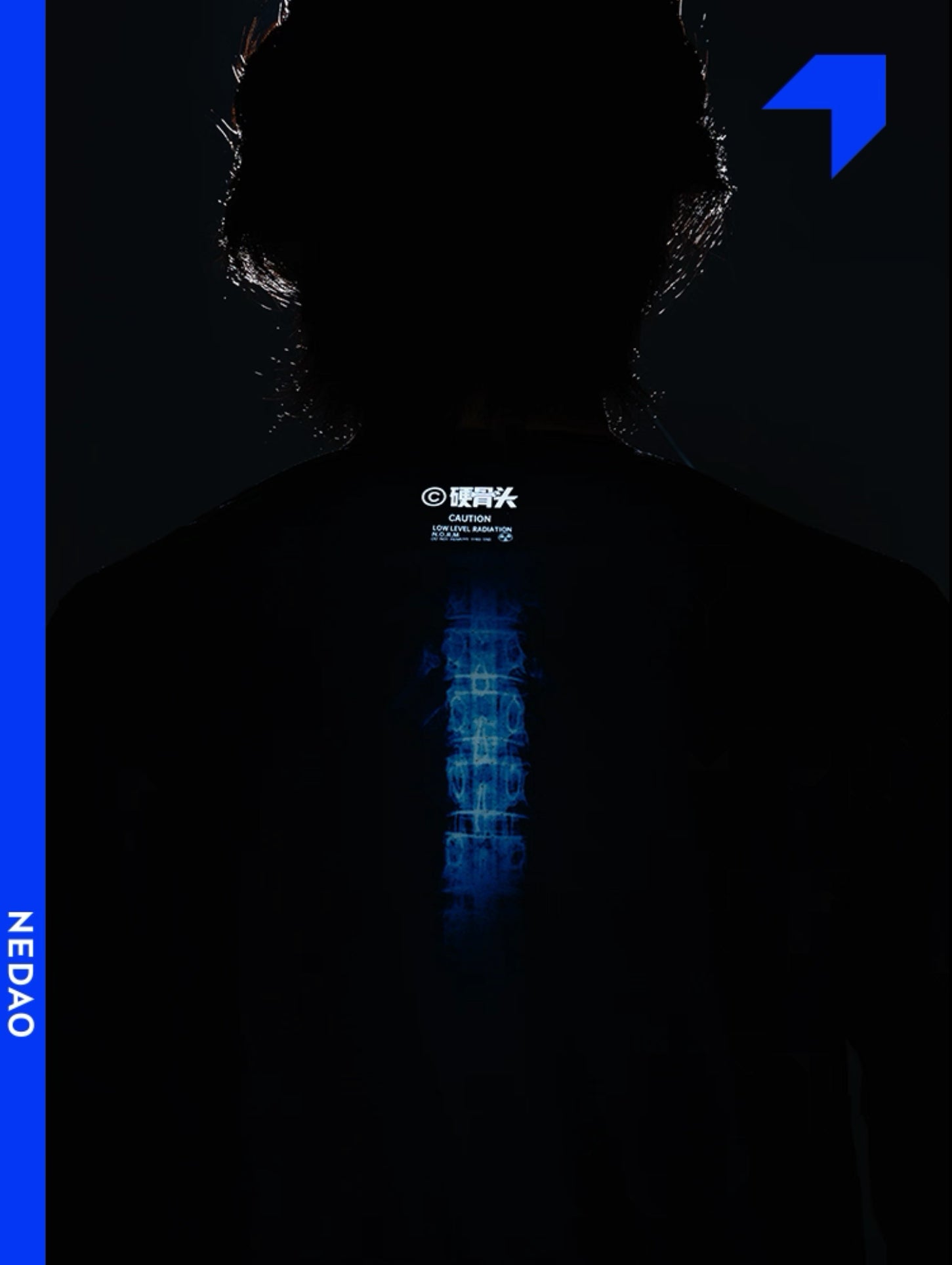 Nedao Swiftbreeze Tough Cookie Limited Collection Women’s Running Long Sleeve - Blue Black